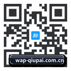 iPadOS & iOS 版 二维码